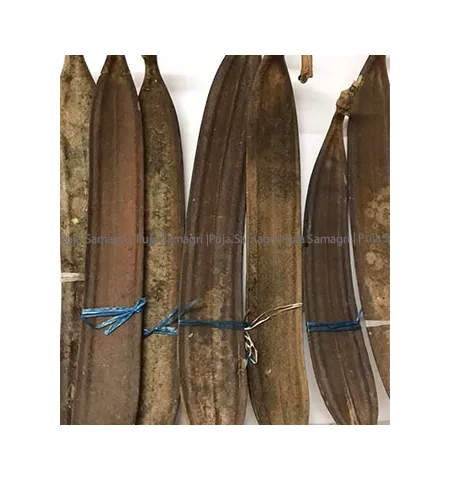 Puja Samagri- Tatela Phul (ततेला फुल) Approx: 35inch